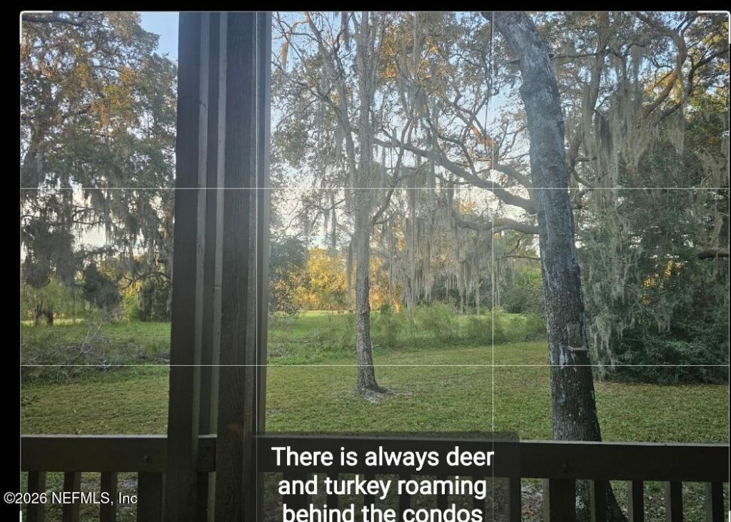 3175 Ravines Road, Unit 3702, Middleburg, FL 32068 Photo