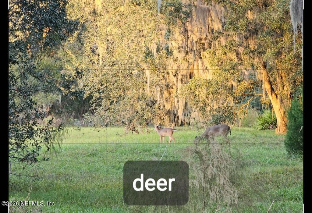 3175 Ravines Road, Unit 3702, Middleburg, FL 32068 Photo