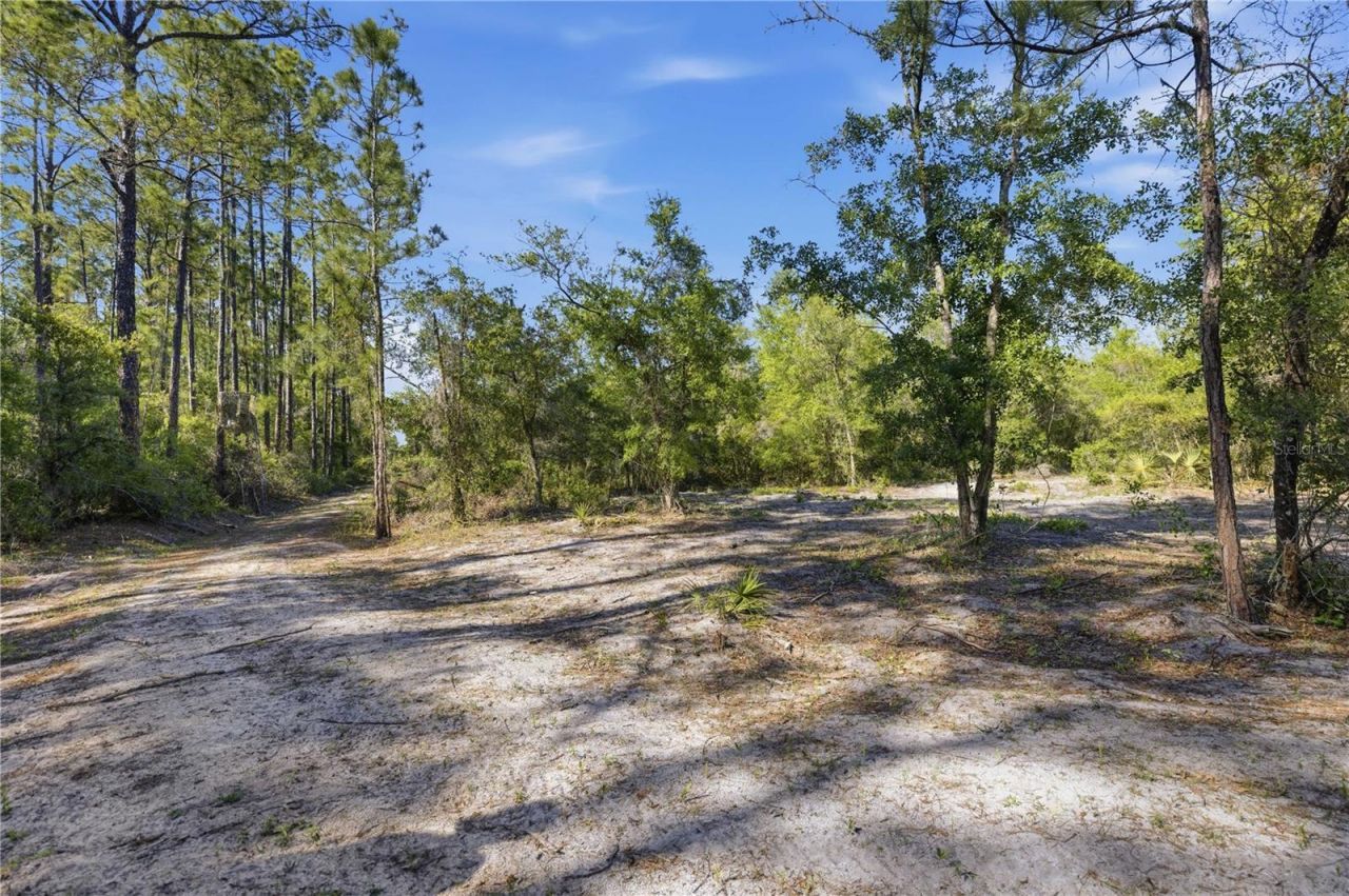 Tbd NE 125th Avenue, Fort Mc Coy, FL 32134 Photo