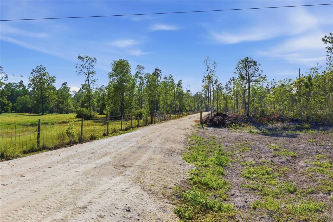 Tbd NE 125th Avenue, Fort Mc Coy, FL 32134 Photo