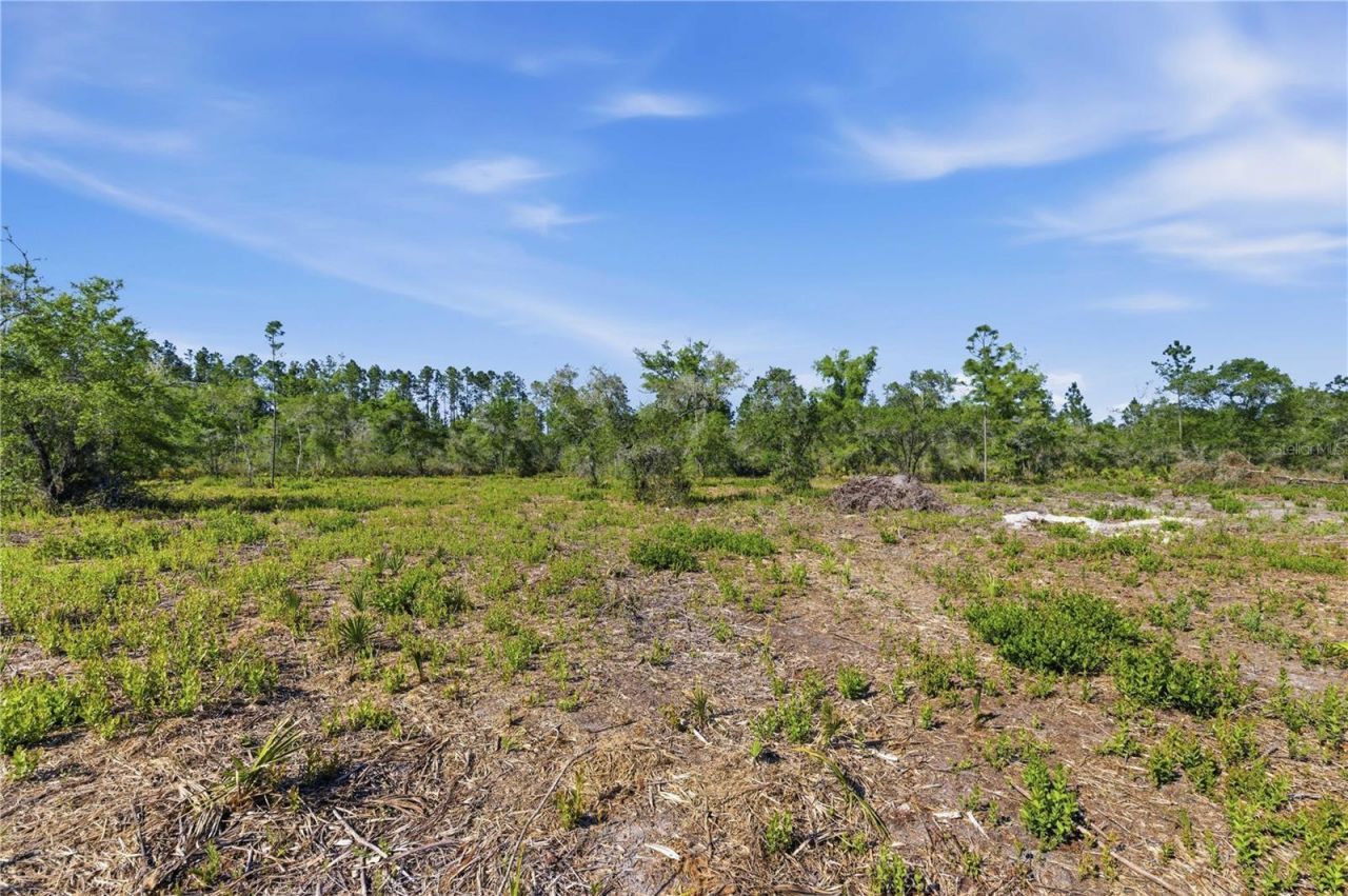 Tbd NE 125th Avenue, Fort Mc Coy, FL 32134 Photo