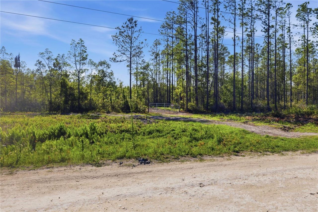 Tbd NE 125th Avenue, Fort Mc Coy, FL 32134 Photo