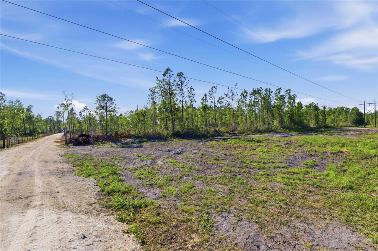 Tbd NE 125th Avenue, Fort Mc Coy, FL 32134 Photo