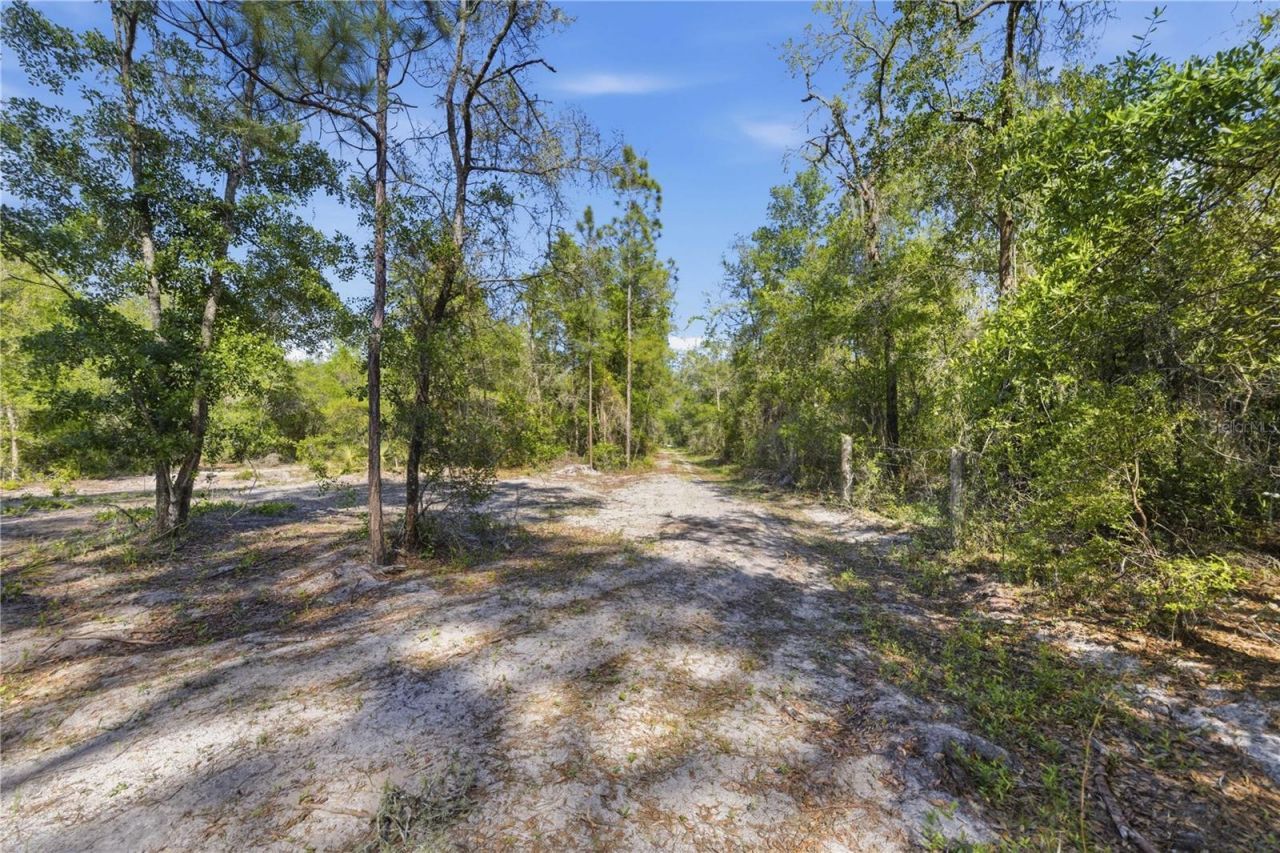Tbd NE 125th Avenue, Fort Mc Coy, FL 32134 Photo