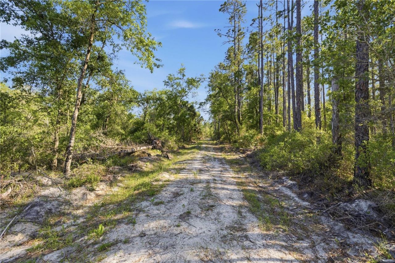 Tbd NE 125th Avenue, Fort Mc Coy, FL 32134 Photo