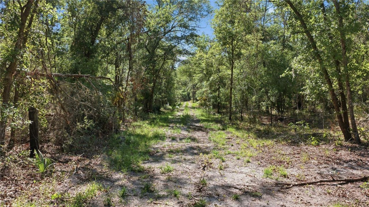Tbd NE 125th Avenue, Fort Mc Coy, FL 32134 Photo