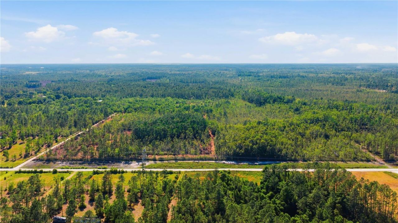 Tbd NE 125th Avenue, Fort Mc Coy, FL 32134 Photo