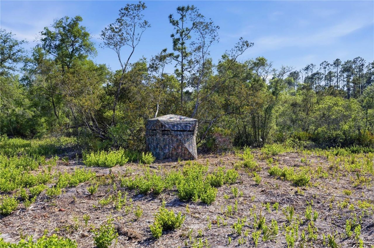 Tbd NE 125th Avenue, Fort Mc Coy, FL 32134 Photo
