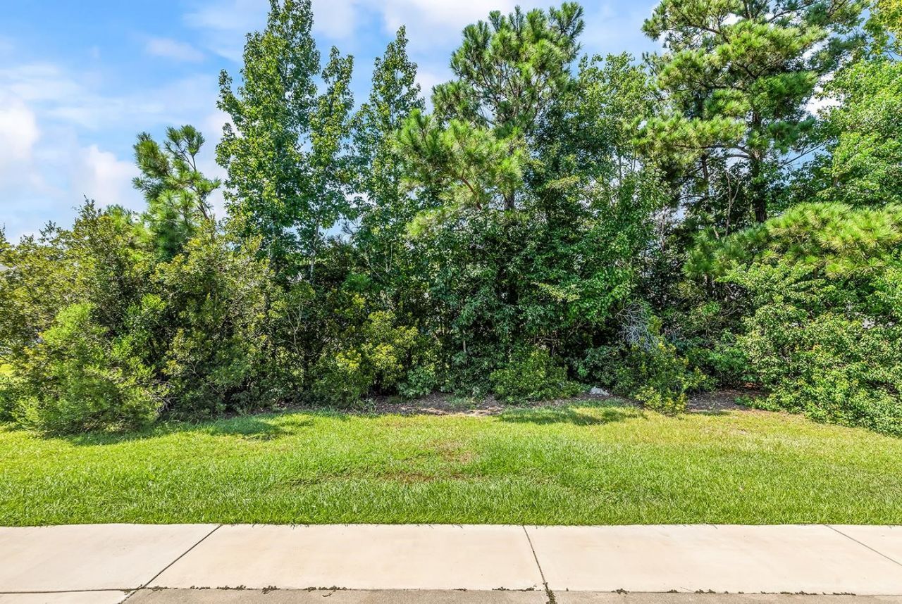 2241 Deerfield Ave. Photo 55