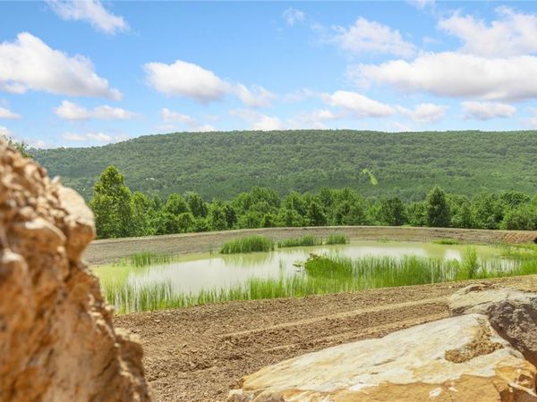 110 Significance Summit , Harrison, AR 72601