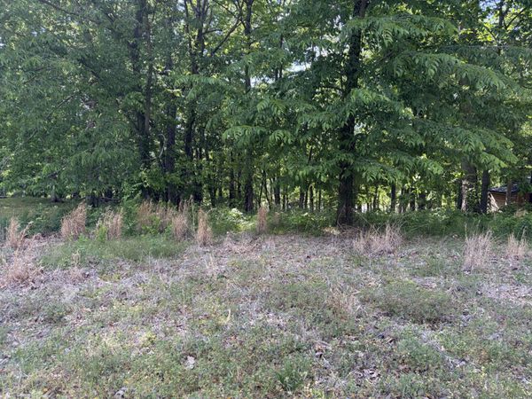 120 kiki cove , Clifton, TN 38425