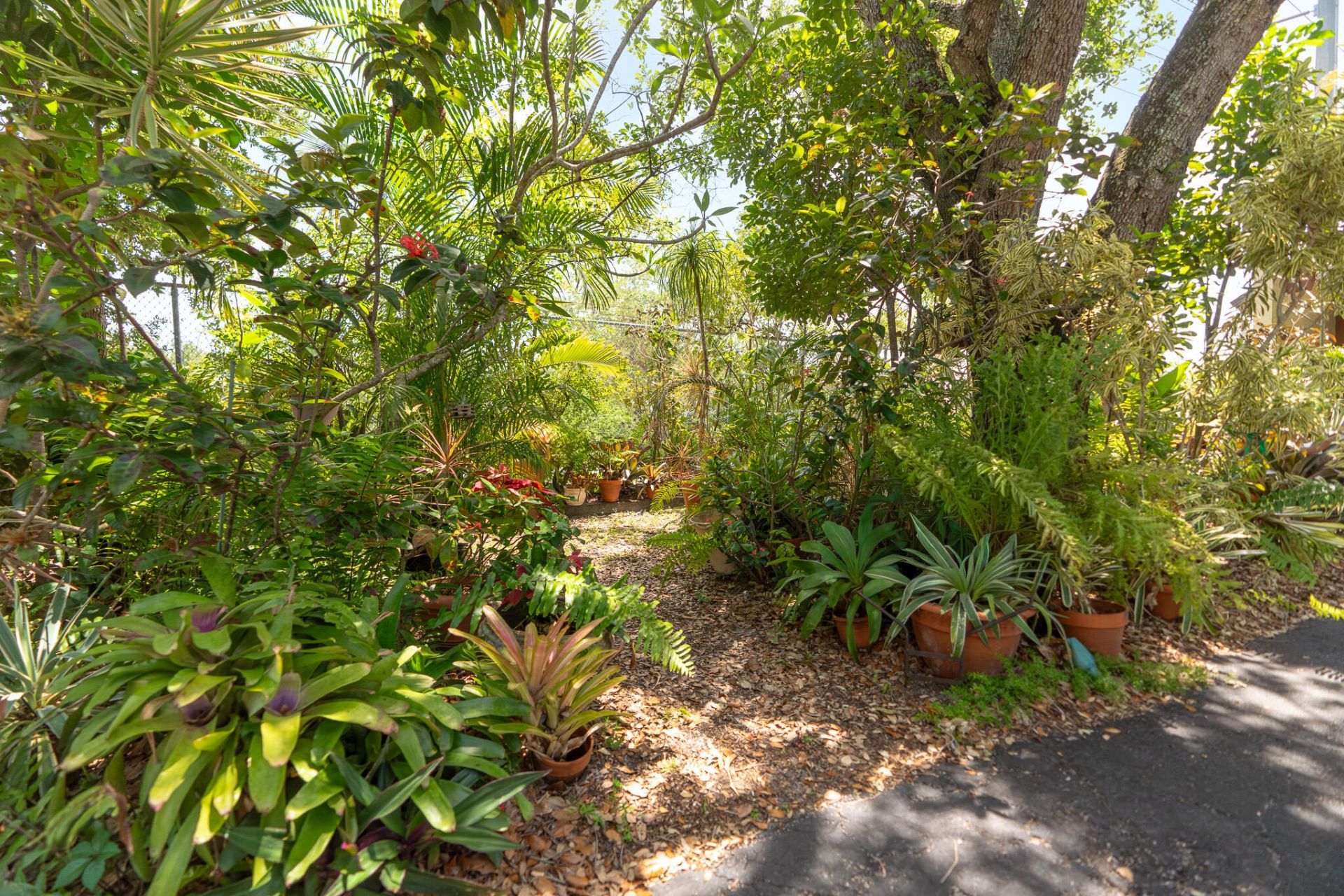 6101 NW 32nd Way, Fort Lauderdale, FL 33309 Photo