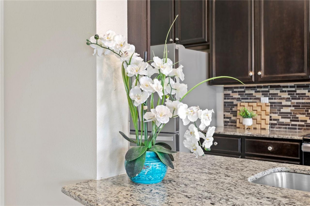 2837 Maple Brook Loop , Lutz, FL 33558 Photo