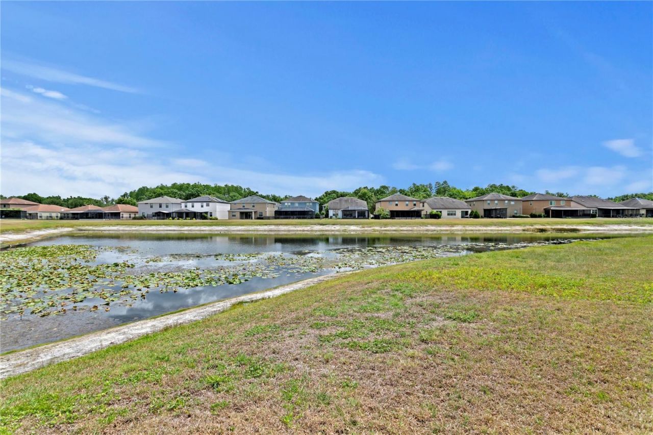 2837 Maple Brook Loop , Lutz, FL 33558 Photo