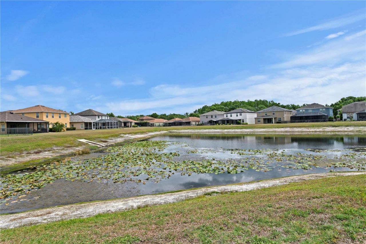 2837 Maple Brook Loop , Lutz, FL 33558 Photo