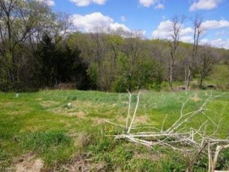 84 Powerhouse Road, Dillonvale, OH 43917 Photo 34