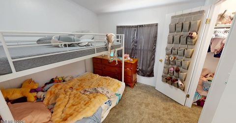 102 Bastian Road, Battle Mountain, NV 89820 Photo