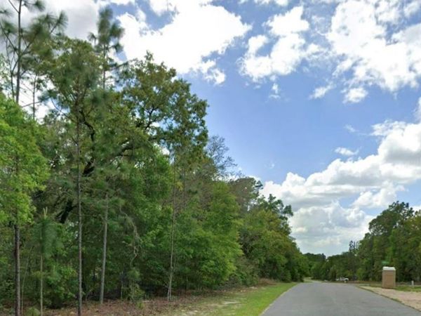 1968 W SHELLBARK DRIVE , CITRUS SPRINGS, FL 34434