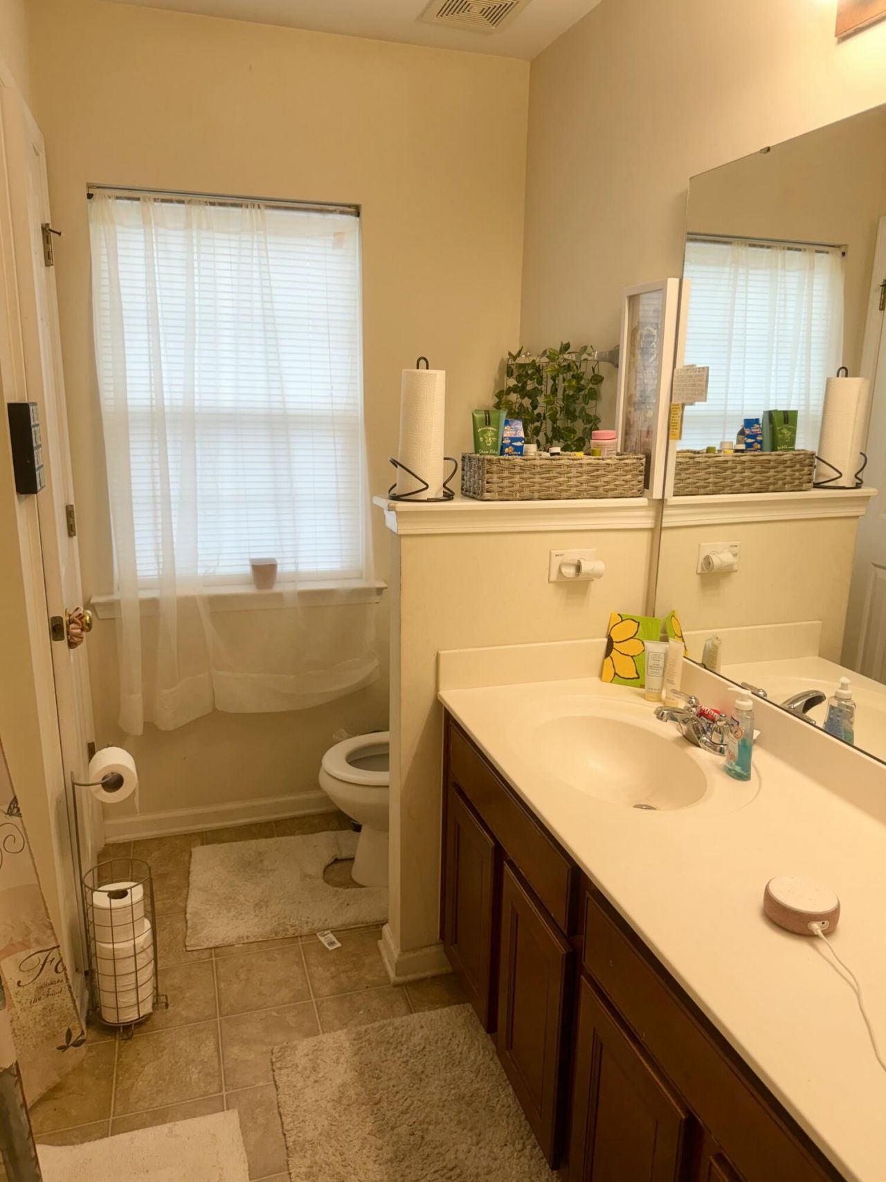 130 Mayfield Drive Photo 22
