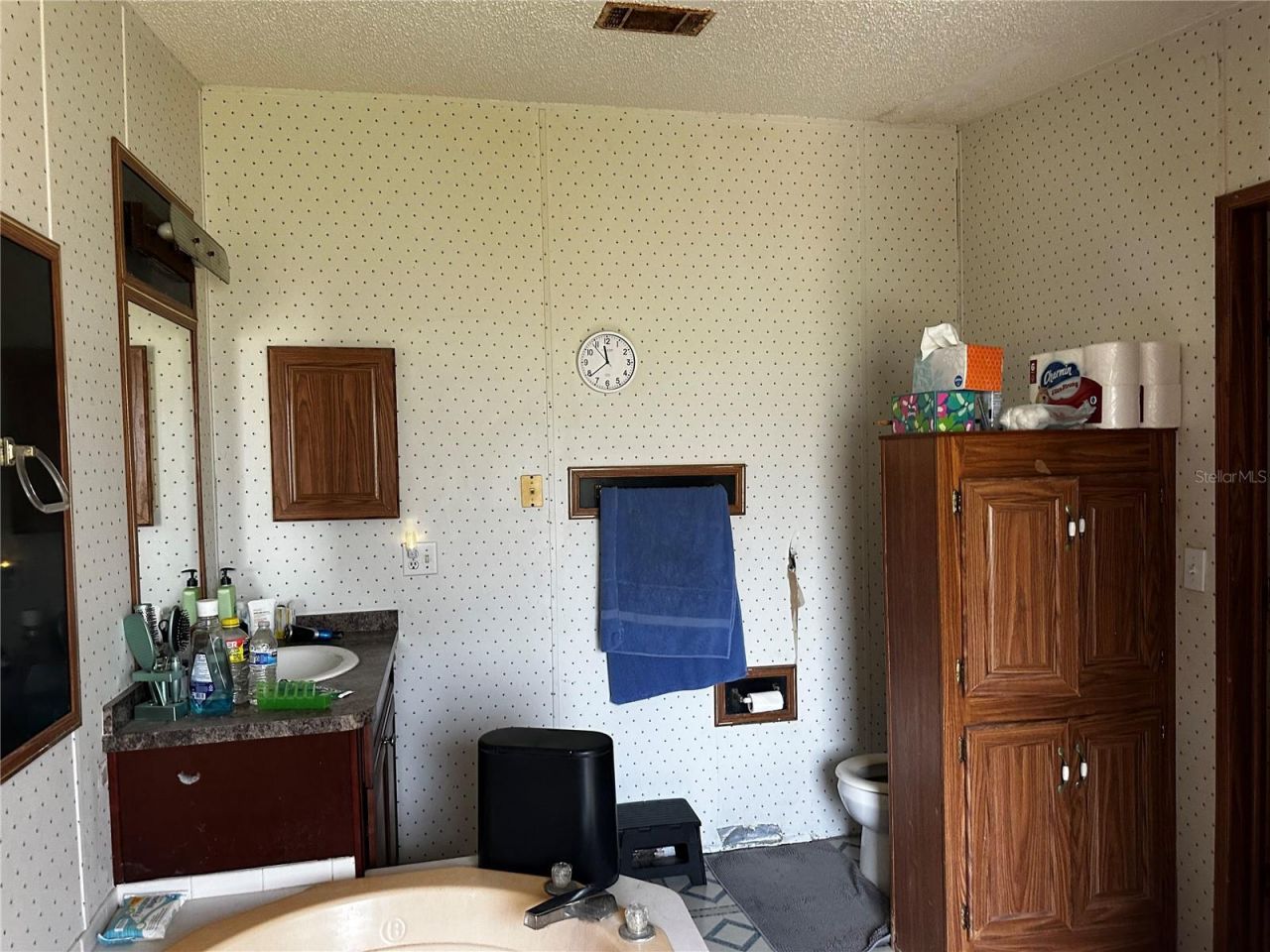 2765 Kerlew Drive , Zolfo Springs, FL 33890 Photo