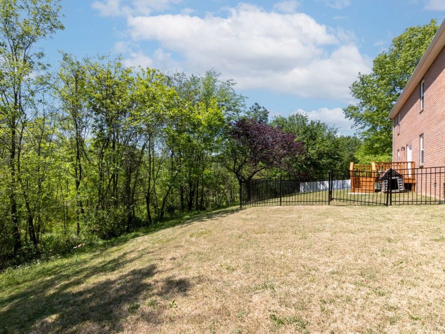 Property Image 38