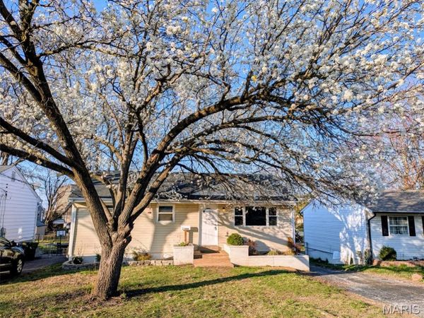 11009 Ivan Avenue, St Ann, MO 63074