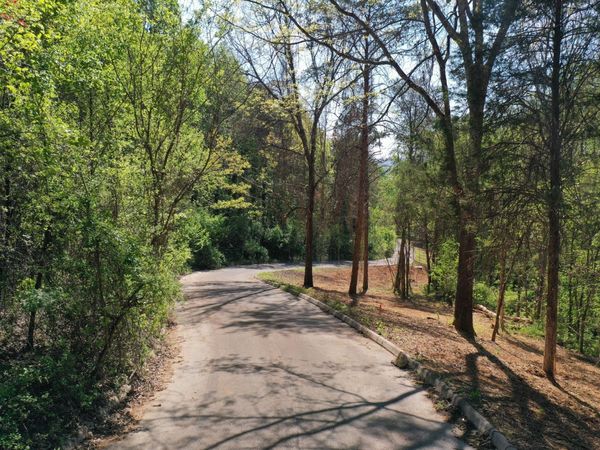 0 Elm Lane Lot 15 Lane, Sweetwater, TN 37874