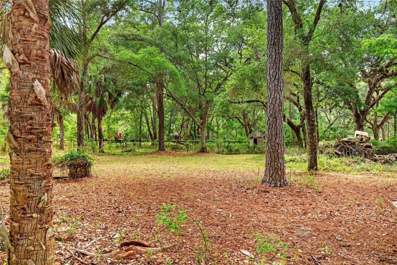9190 NE 144th Terrace , Silver Springs, FL 34488 Photo