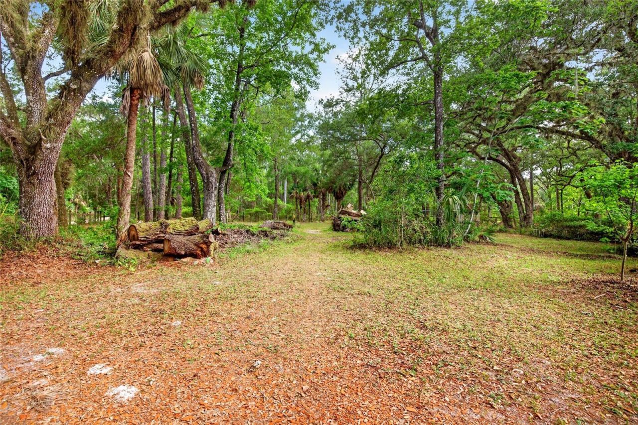 9190 NE 144th Terrace , Silver Springs, FL 34488 Photo