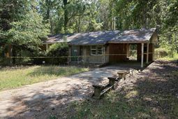 104 Green Tree Drive  photo 4