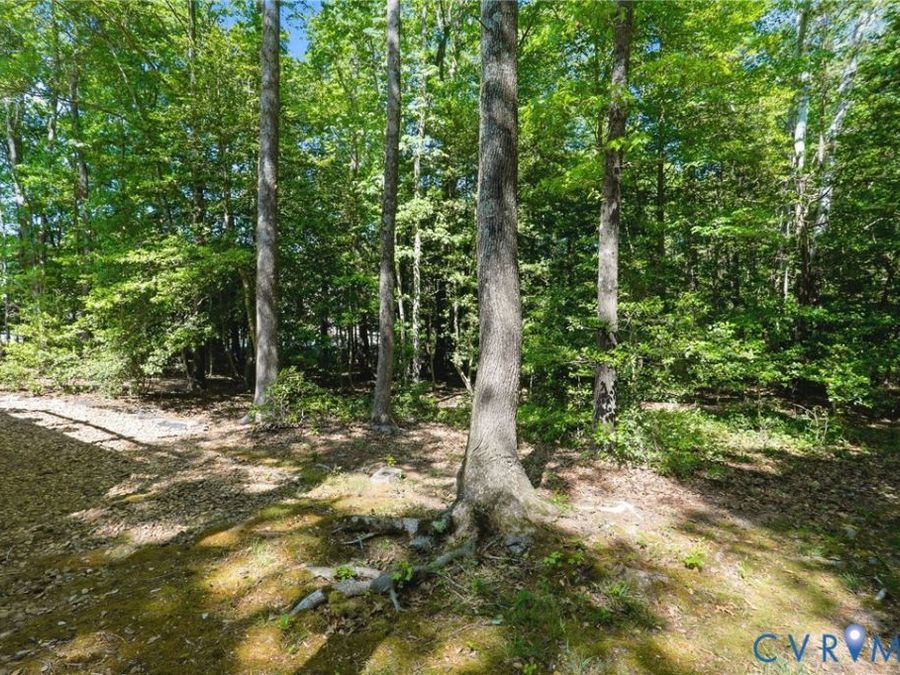Property Image 55