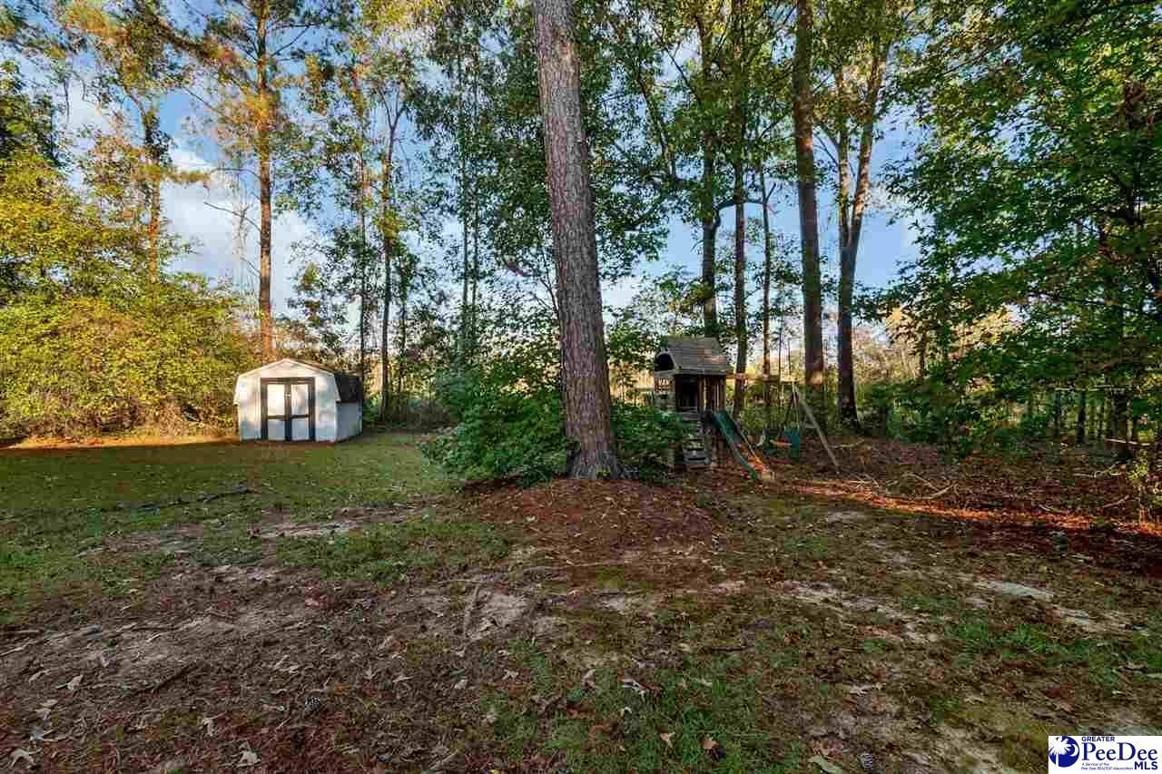 225 Hawthorne Lane Photo 46