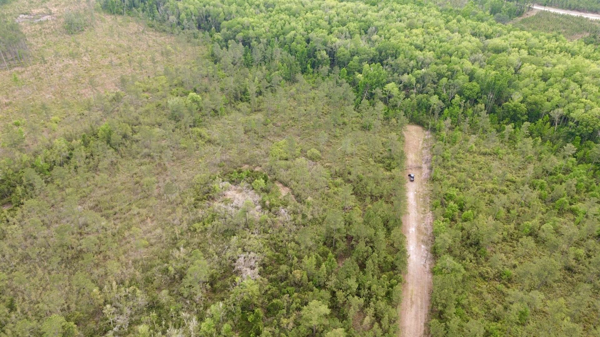 Lot 84 SW Oregon Trail, Greenville, FL 32331 Photo