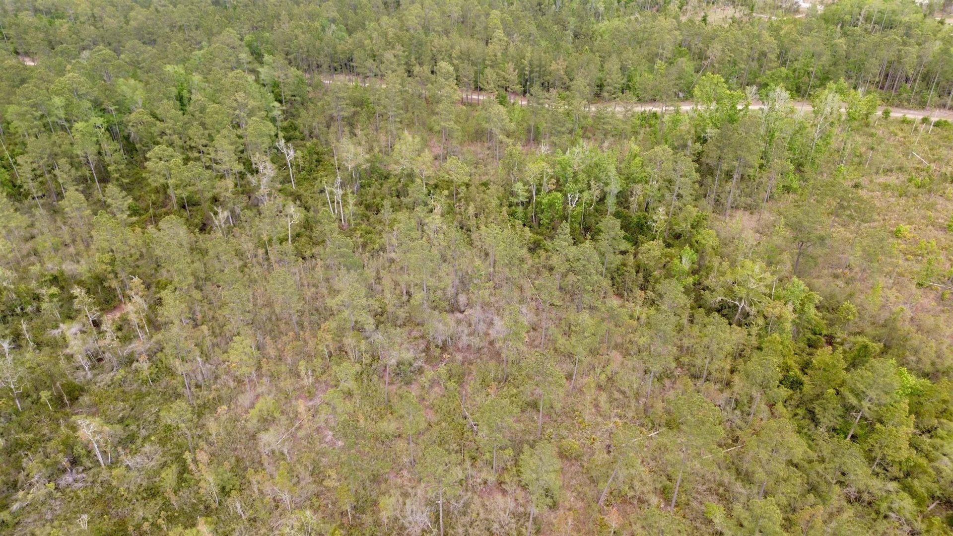 Lot 84 SW Oregon Trail, Greenville, FL 32331 Photo