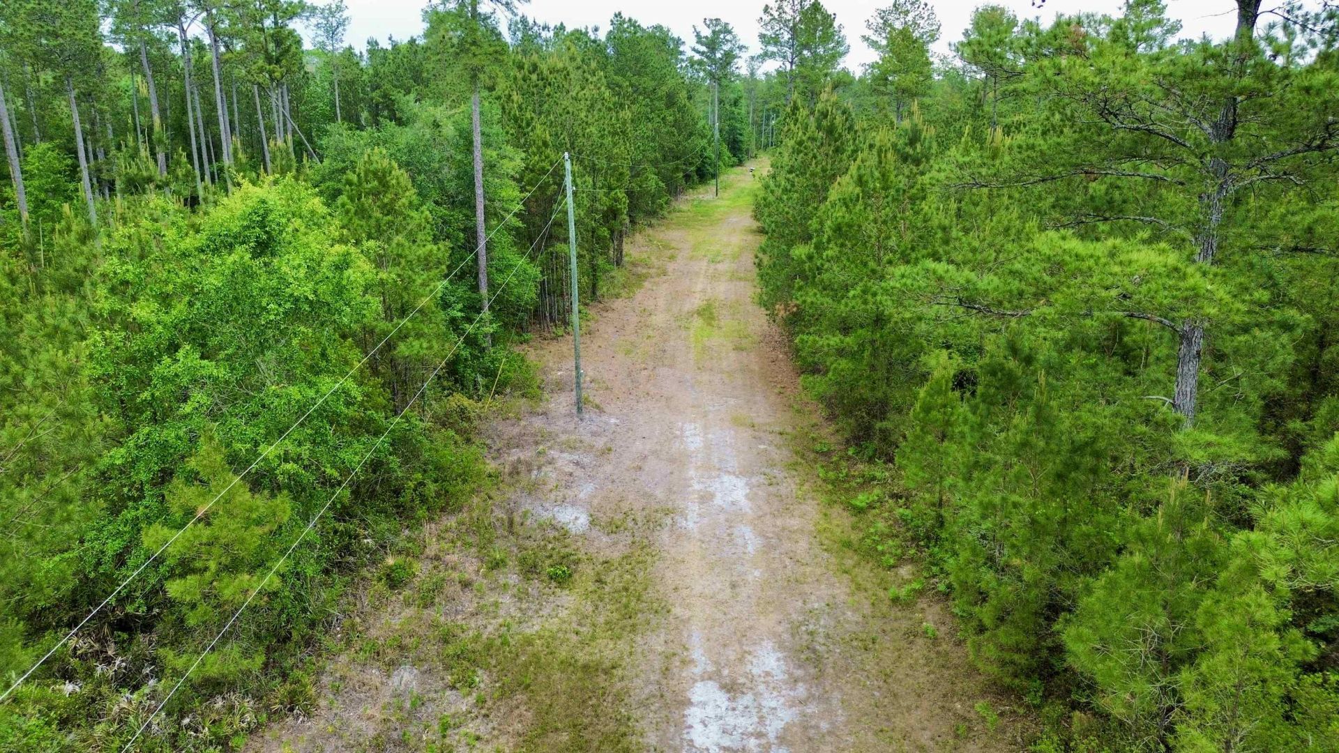 Lot 84 SW Oregon Trail, Greenville, FL 32331 Photo