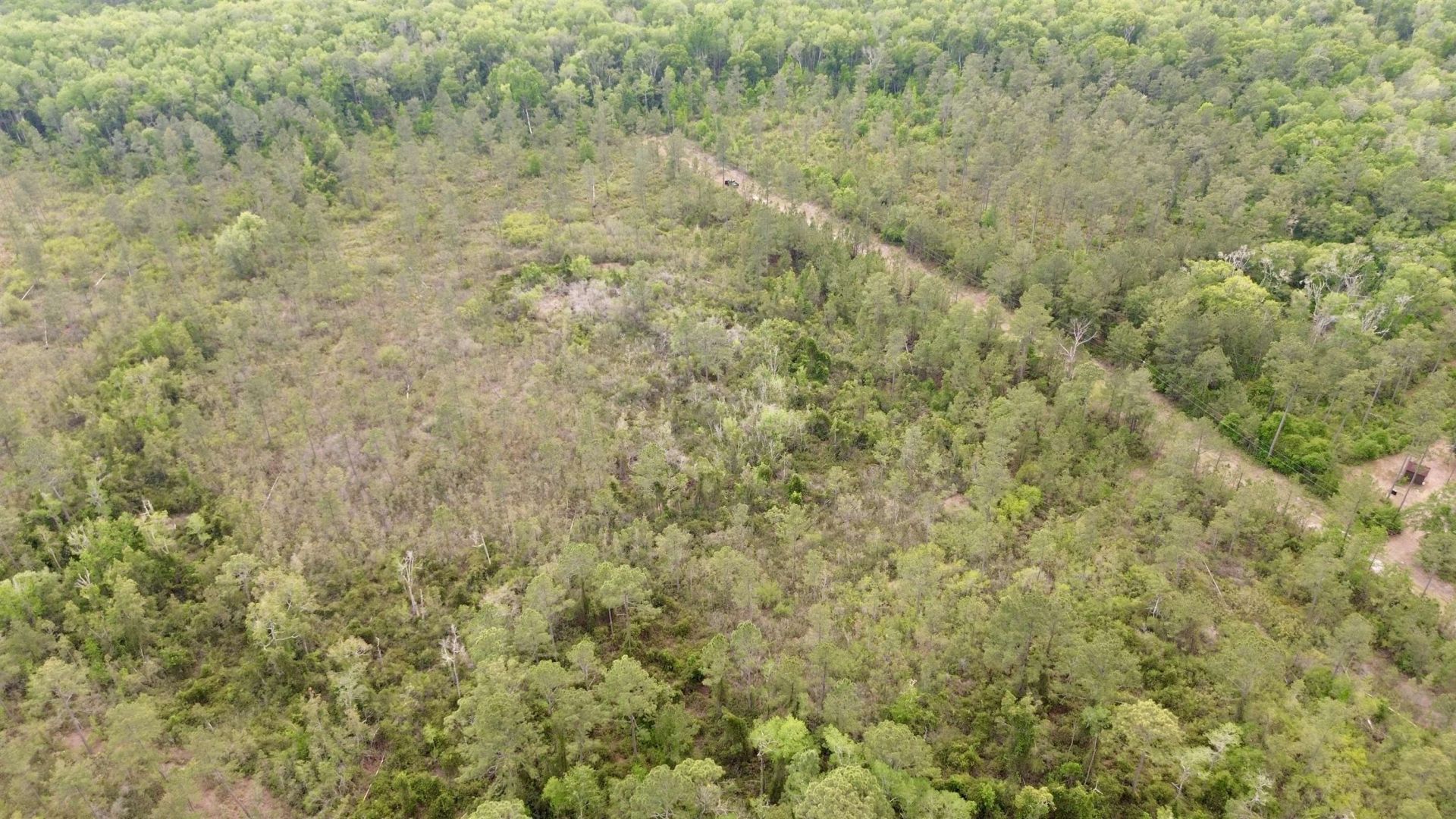 Lot 84 SW Oregon Trail, Greenville, FL 32331 Photo