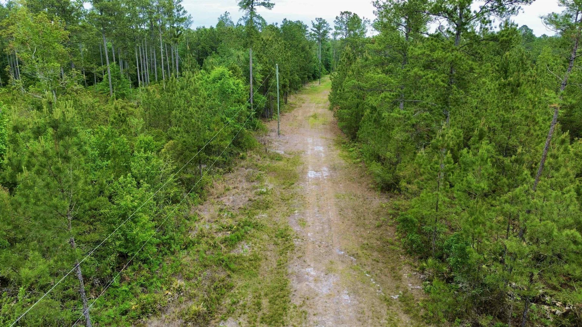 Lot 84 SW Oregon Trail, Greenville, FL 32331 Photo