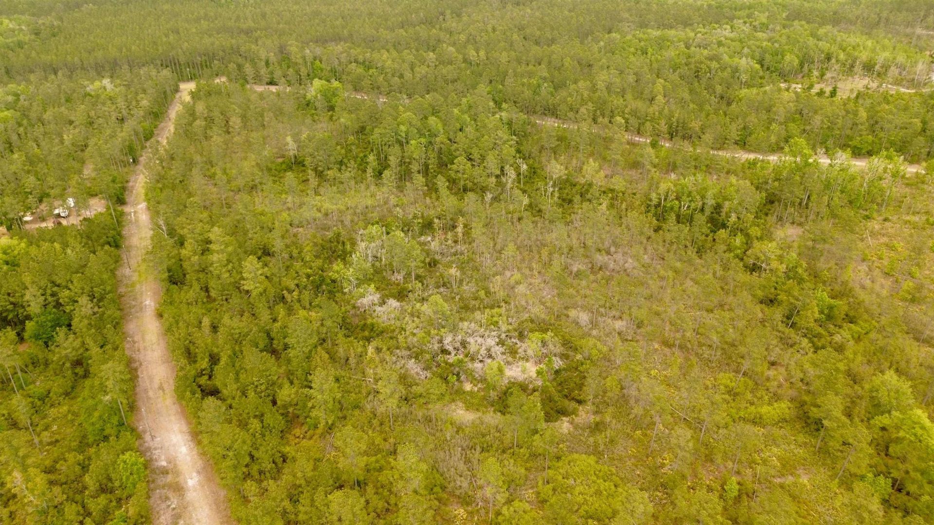 Lot 84 SW Oregon Trail, Greenville, FL 32331 Photo