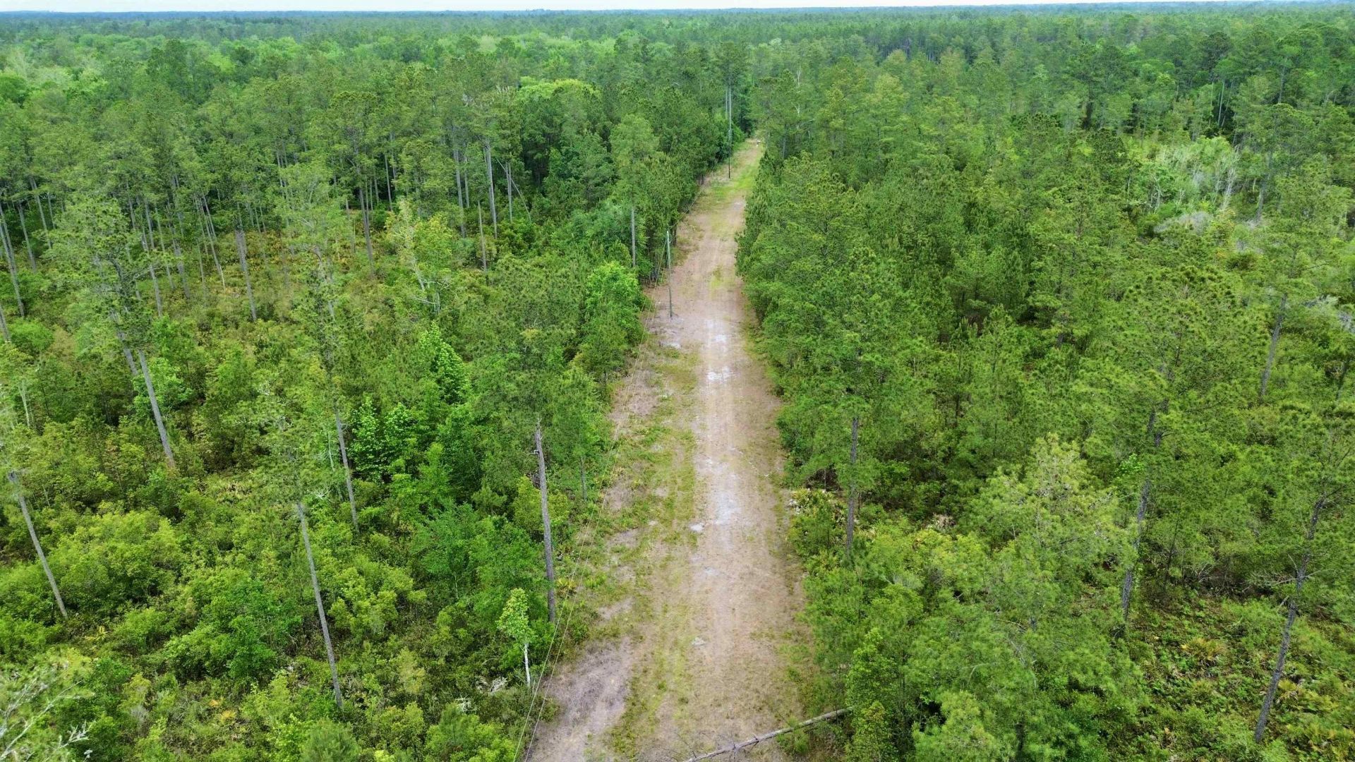 Lot 84 SW Oregon Trail, Greenville, FL 32331 Photo