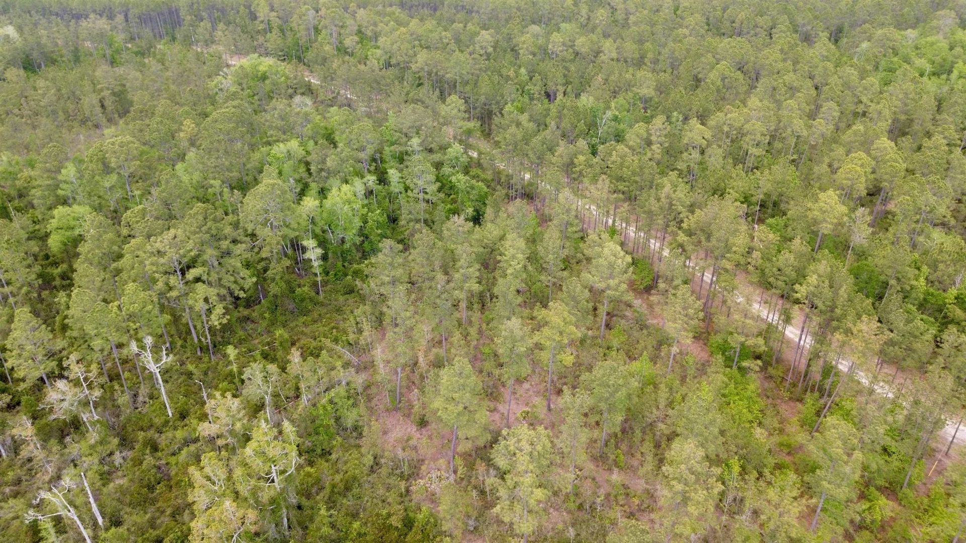 Lot 84 SW Oregon Trail, Greenville, FL 32331 Photo