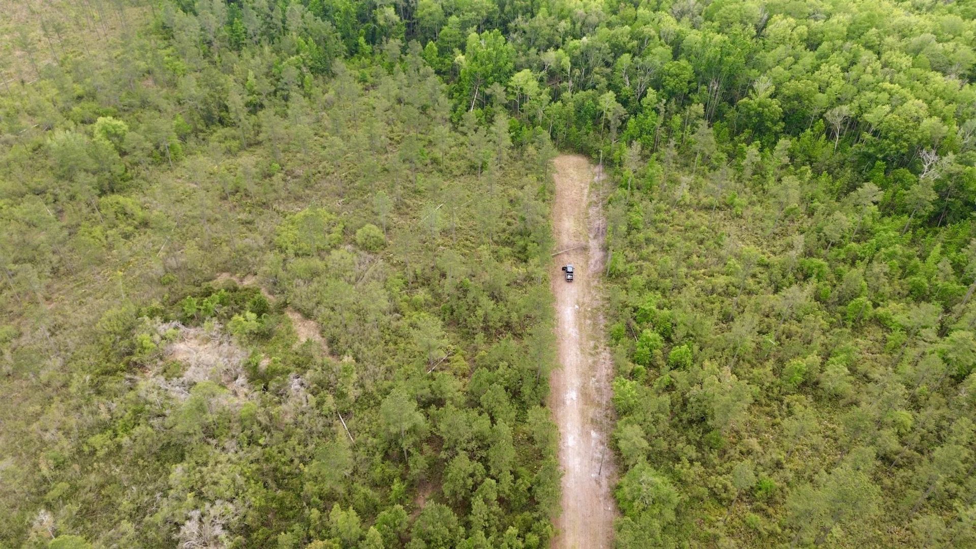 Lot 84 SW Oregon Trail, Greenville, FL 32331 Photo