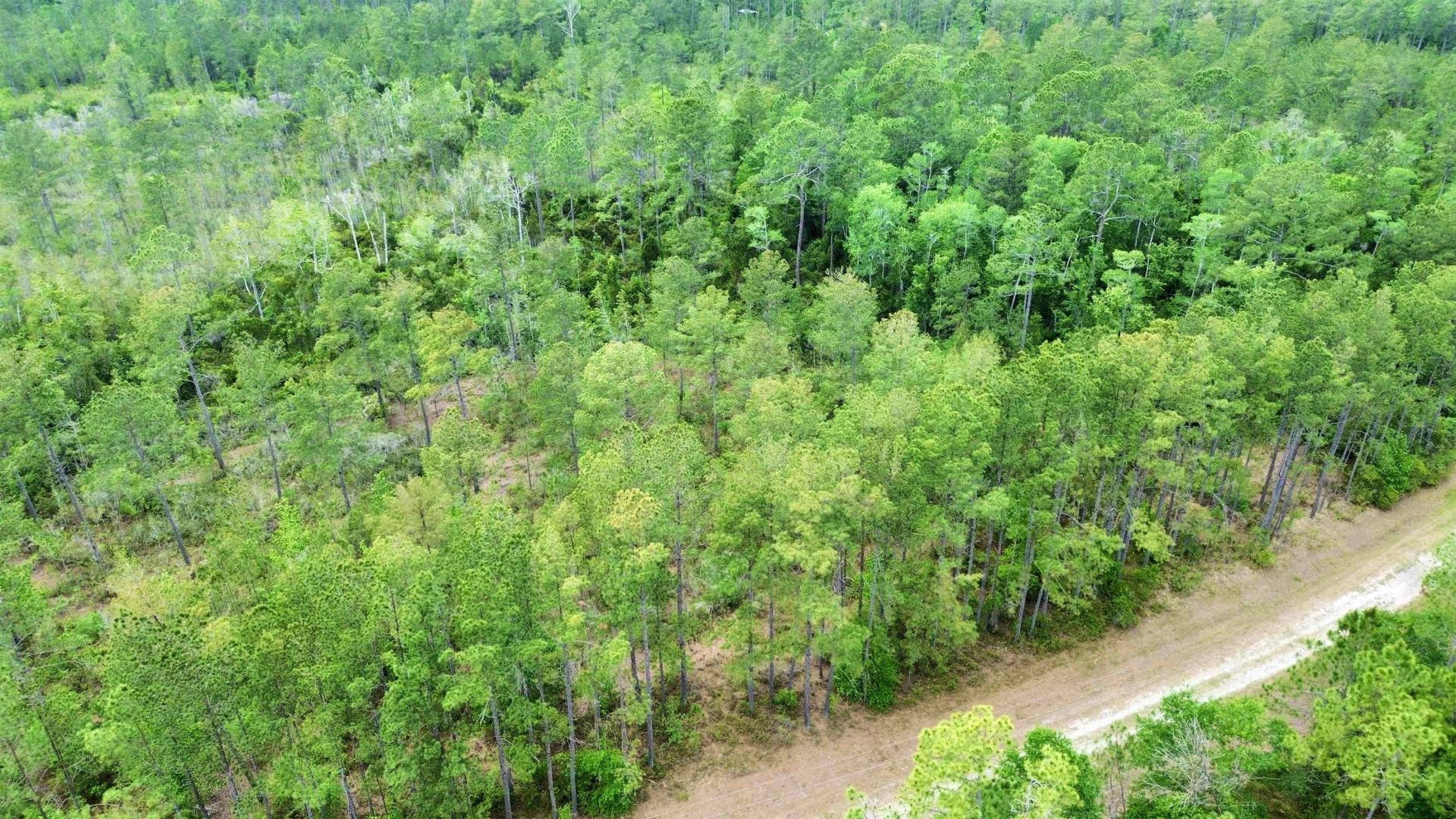 Lot 84 SW Oregon Trail, Greenville, FL 32331 Photo