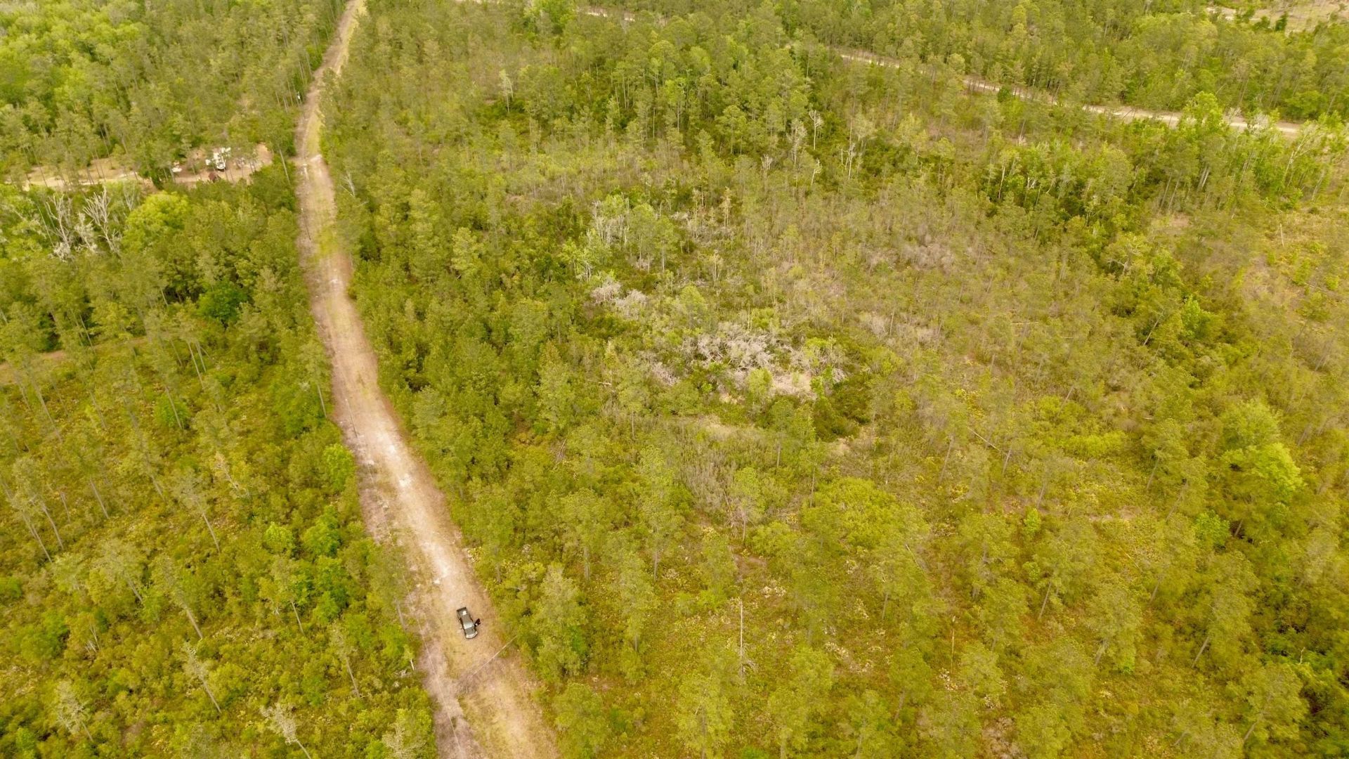Lot 84 SW Oregon Trail, Greenville, FL 32331 Photo