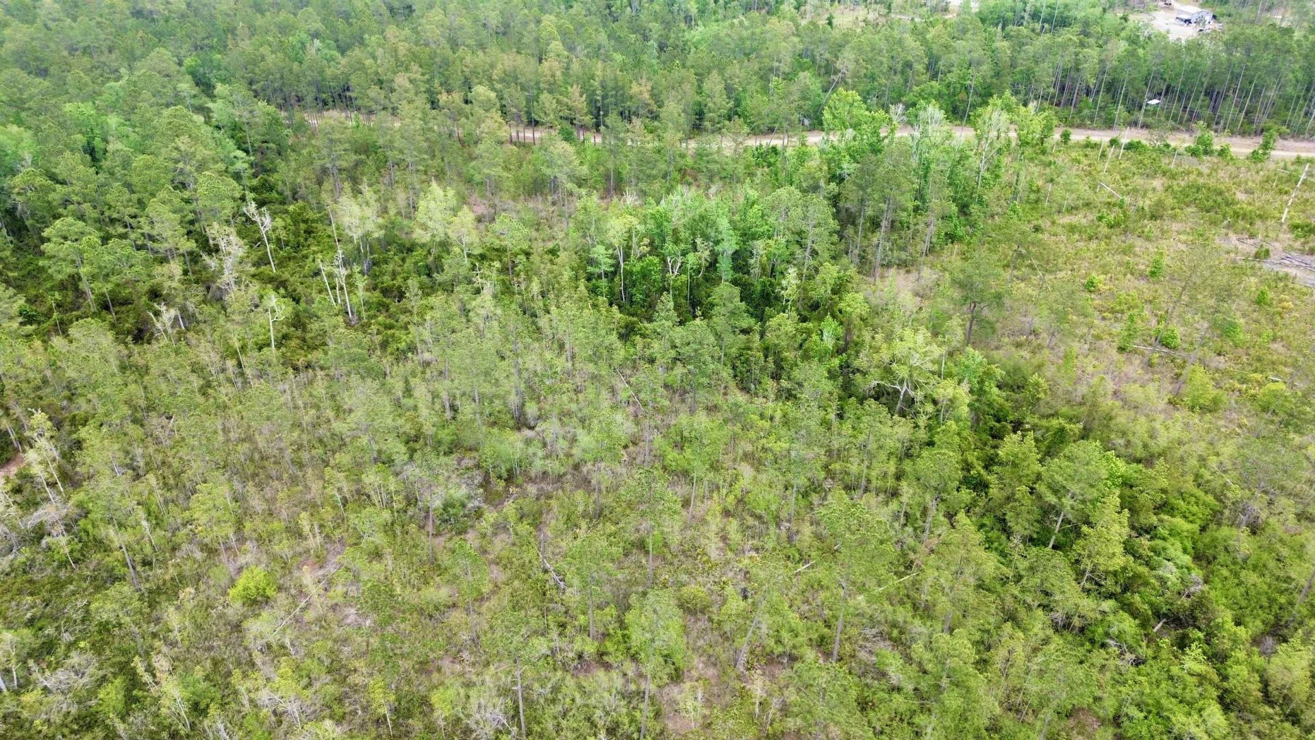 Lot 84 SW Oregon Trail, Greenville, FL 32331 Photo