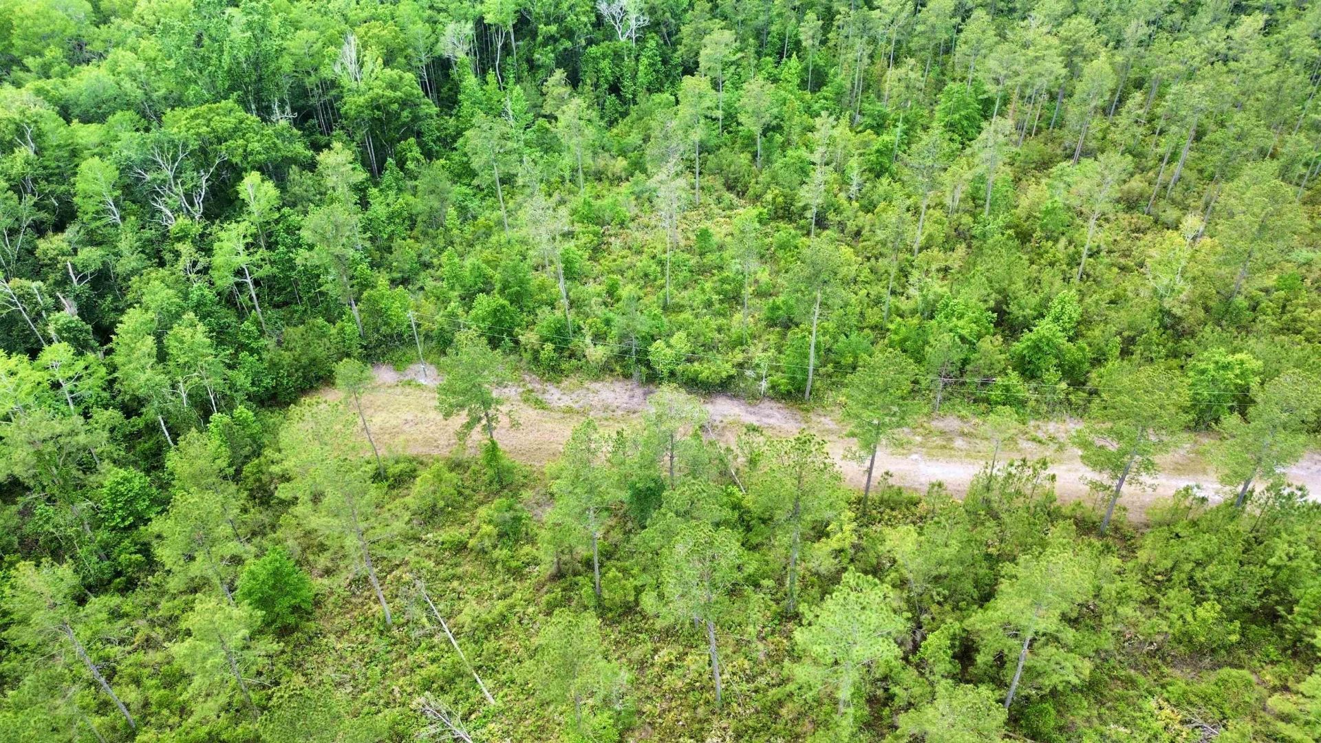 Lot 84 SW Oregon Trail, Greenville, FL 32331 Photo