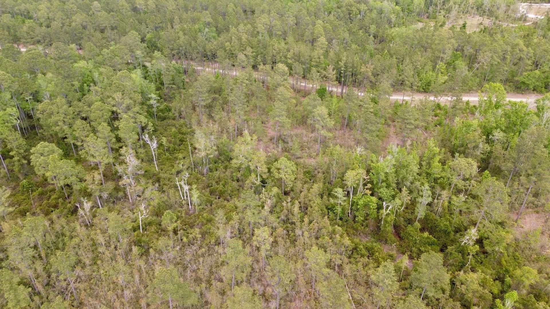 Lot 84 SW Oregon Trail, Greenville, FL 32331 Photo