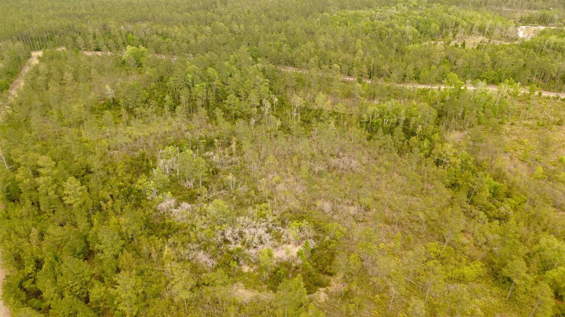 Lot 84 SW Oregon Trail, Greenville, FL 32331 Photo
