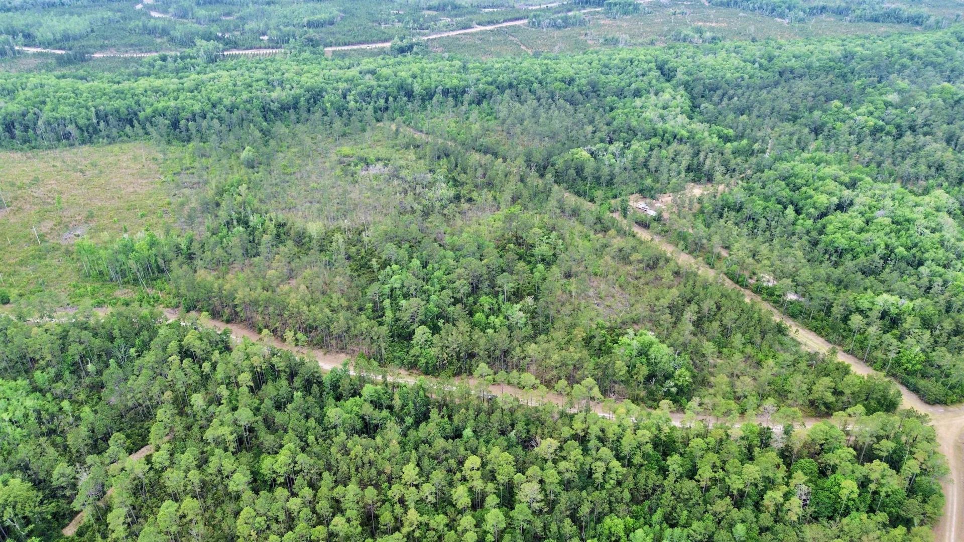 Lot 84 SW Oregon Trail, Greenville, FL 32331 Photo
