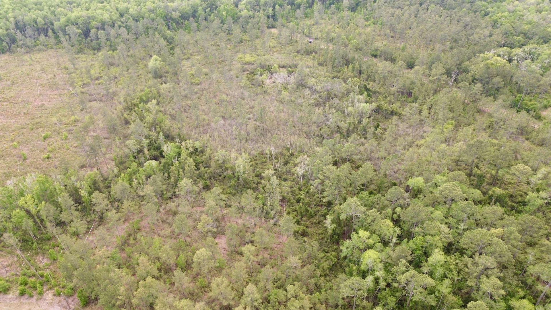 Lot 84 SW Oregon Trail, Greenville, FL 32331 Photo