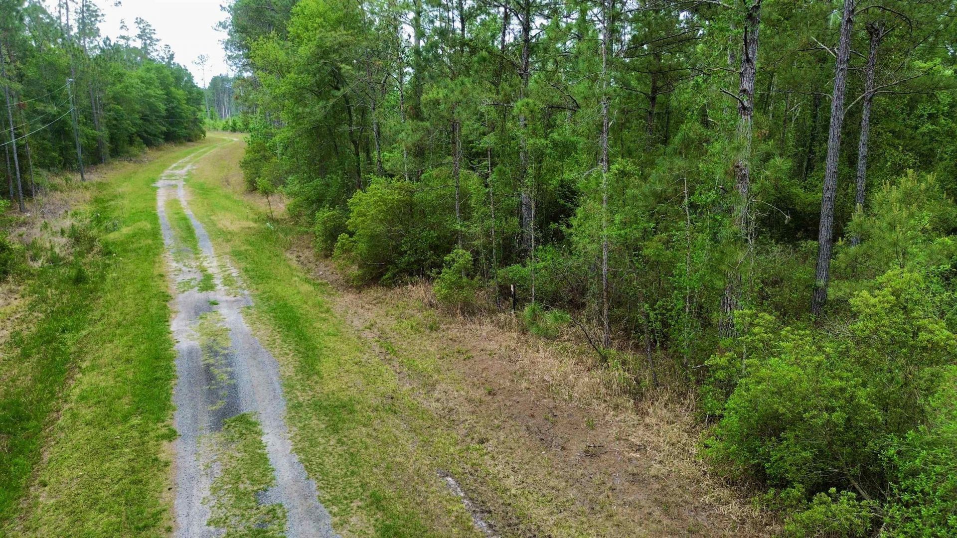 Lot 84 SW Oregon Trail, Greenville, FL 32331 Photo